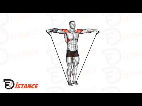 Exercice Élévations latérales avec élastiques