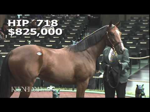2015 September Yearling Sale - Hip 718 (Street Cry (IRE) - Tizso)