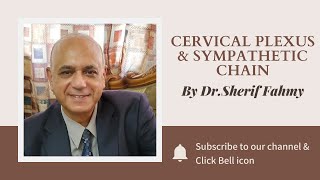 Dr. Sherif Fahmy - Cervical plexus & Symp. chain