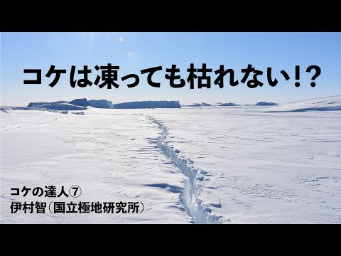 氷河: 懸念される発見は生態系全体を不安定にする可能性があります – 研究者にとってはまったく新しいことでした