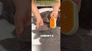 Download lagu 😻 Bulu Rontok Kucing Ini Hilang dalam Hitungan Detik! mp3