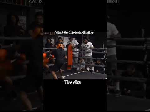 hajime no ippo is so realistic ippo vs takamura vs Brian Hawk vs sendo vs volg vs wally vs ricardo