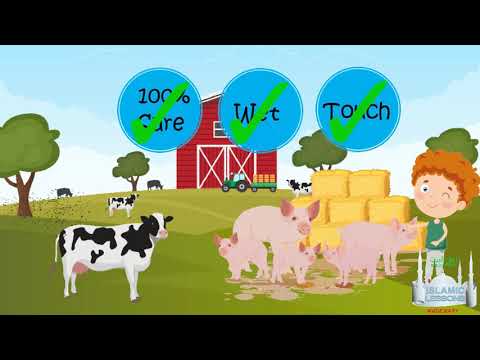 MADRASA - How a thing becomes Najis - B43