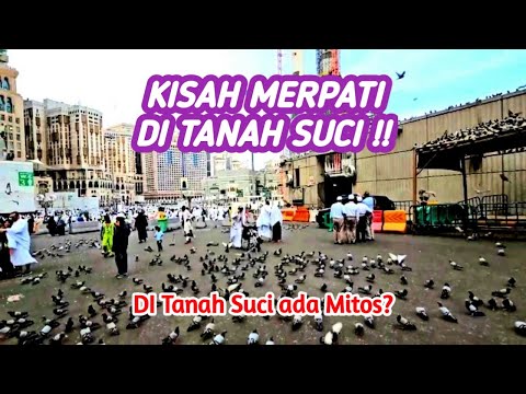 KISAH MERPATI DI TANAH SUCI MEKKAH !!