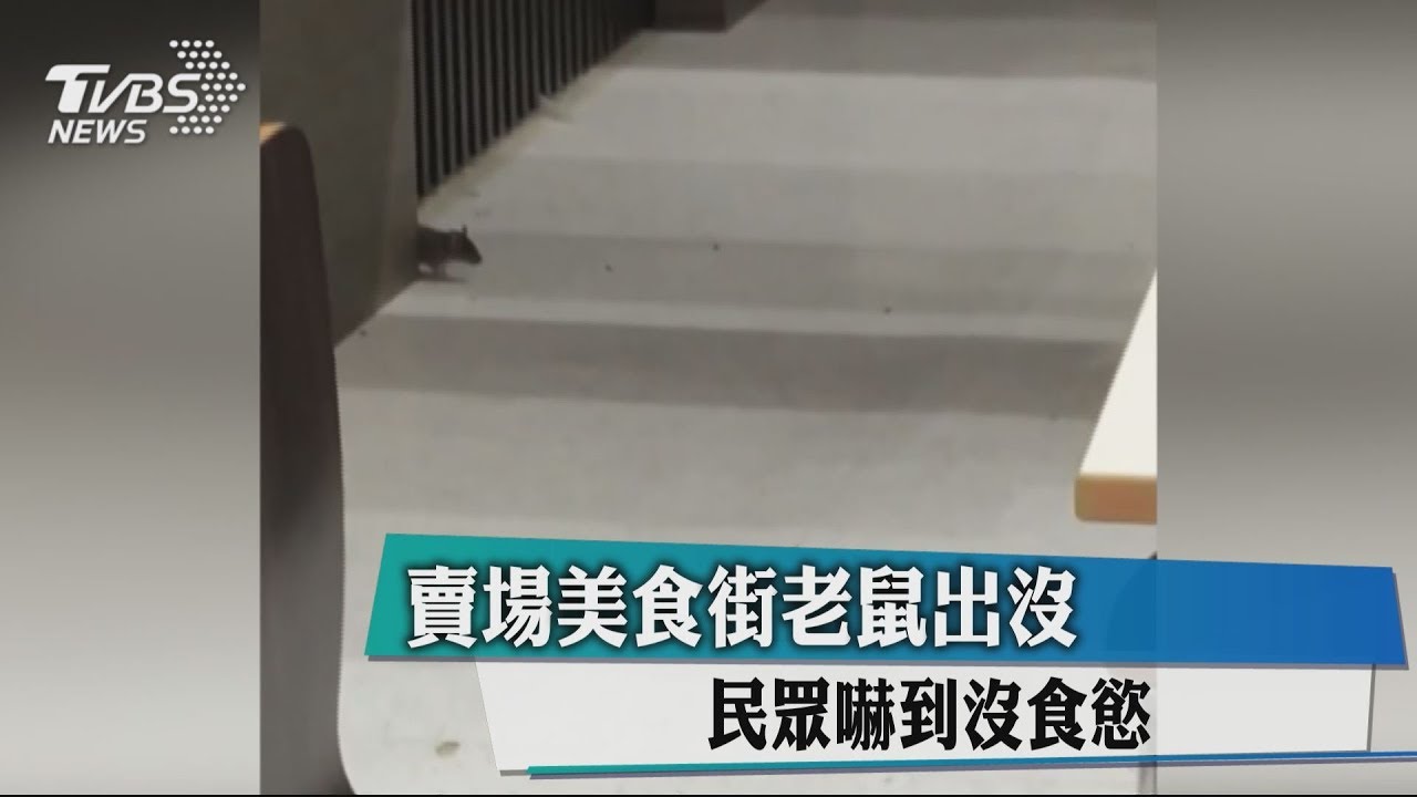 《料理鼠王》賣場版!鼠竄美食街 民眾嚇到沒食慾