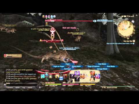 Final Fantasy XIV A realm reborn  part 19 Storyline