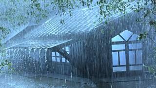 Solve the Problem of Insomnia with Heavy rain & Loud Thunder on Rickety Tin Roof in Forest at Night