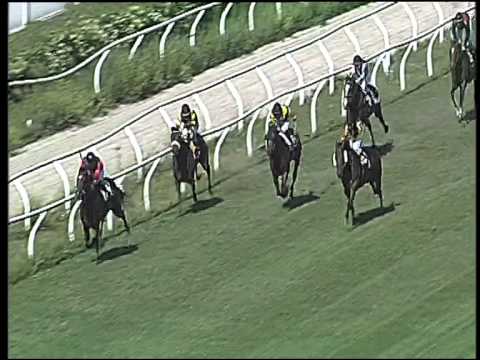 Galoppo 25/05/2015 - 2° corsa