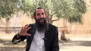 מהי ההכנה הטובה ביותר לראש השנה ויום הכיפורים? | הרב אלישע וולפסון (ישיבת הר הבית) - התמונה מוצגת ישירות מתוך אתר האינטרנט יוטיוב. זכויות היוצרים בתמונה שייכות ליוצרה. קישור קרדיט למקור התוכן נמצא בתוך דף הסרטון