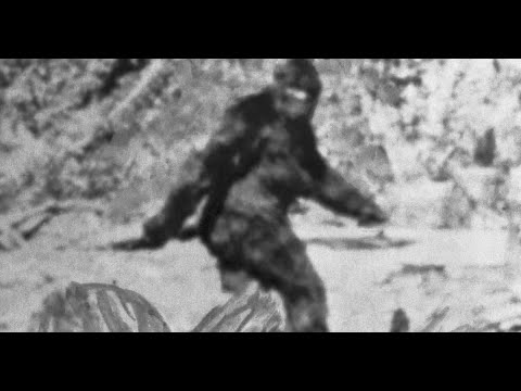 The First Ever Footage of Big Foot: The Roger Patterson Film