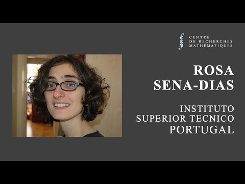 Unicité parmi les métriques de Kähler toriques à courbure scalaire nulle sur des surfaces non-com...