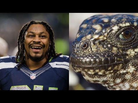 Marshawn Lynch Narrates Planet Earth