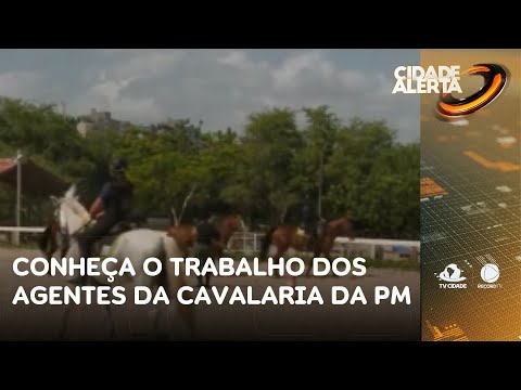 Conheça o trabalho dos agentes que integram a cavalaria da Polícia Militar | Cidade Alerta CE