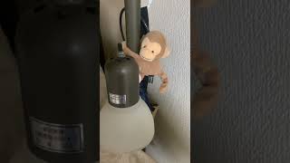 🐒🐟ですか？
