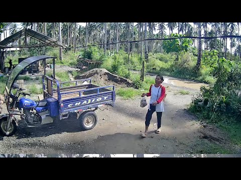 Premier streaming_44 #premiere #livestreaming #livestreamlife #islandlife #islandliving #nature #lie