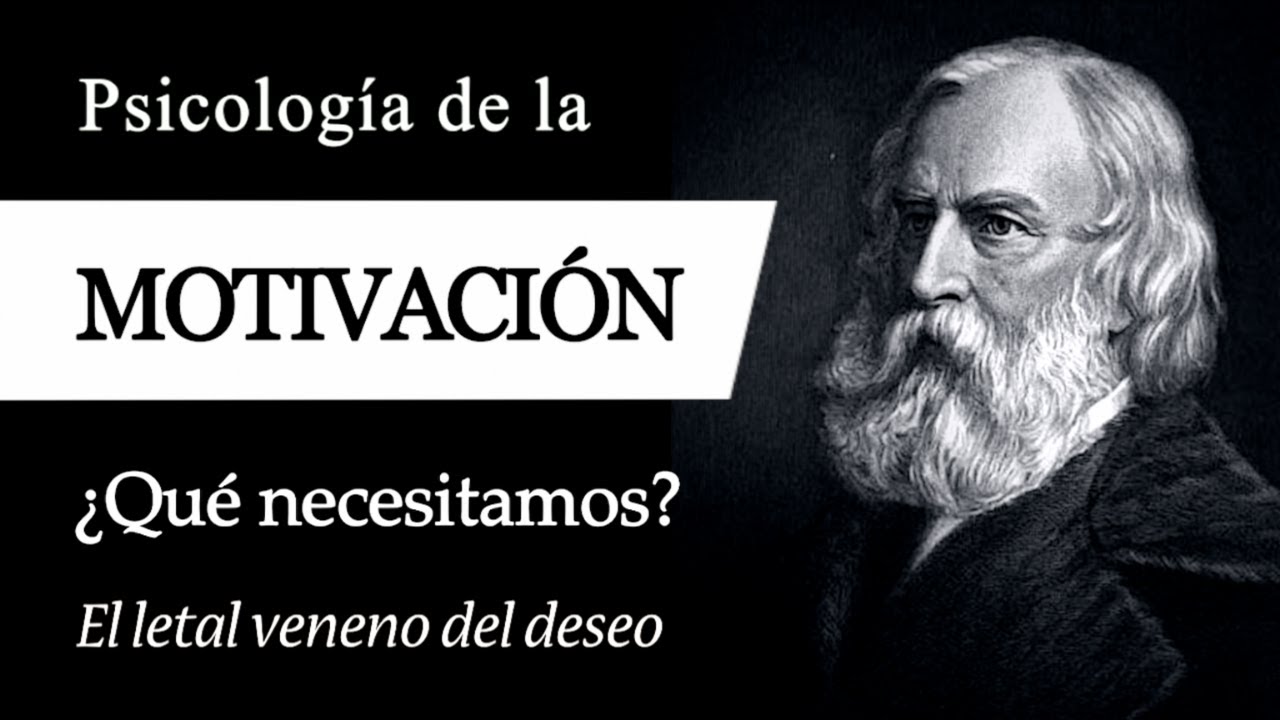 PSICOLOGÍA de la MOTIVACIÓN - ¿Qué Influye en nuestro COMPORTAMIENTO y qué NECESITAMOS Realmente?