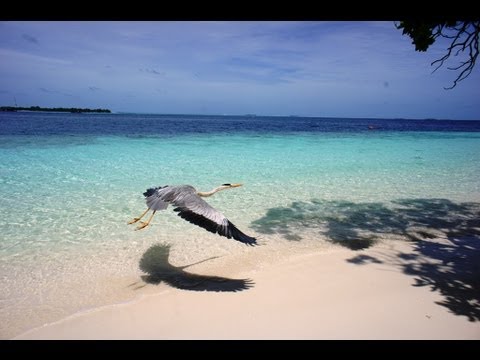 Vilamendhoo Island Resort Maldives 2013