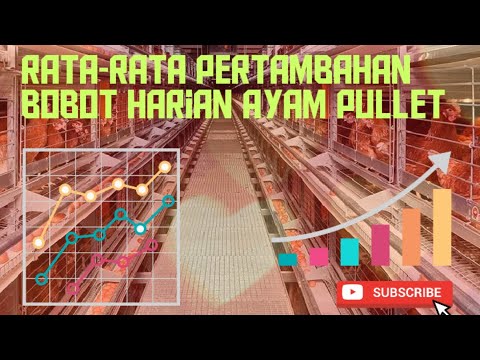 , title : 'HCL_2 Analisa Rata Rata Pertambahan Bobot Harian Ayam Pullet'