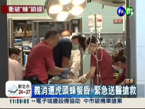 虎頭蜂傾巢飛竄 義消遭螫昏不治