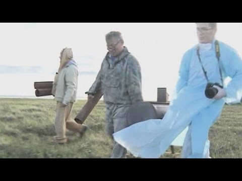 La Sibérie fait face à une épidémie d'anthrax