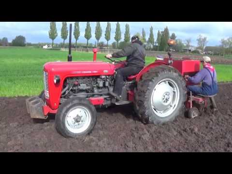 Landb. Van Canneyt - Kleit - Massey Ferguson 35