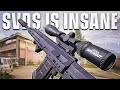 SVDS IS THE BEST DMR Solo Forbidden Arena Breakout Infinite