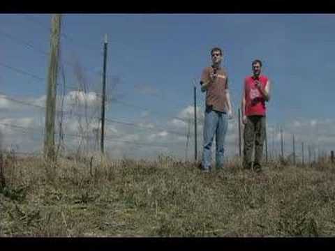 Last Chance (Trailer)