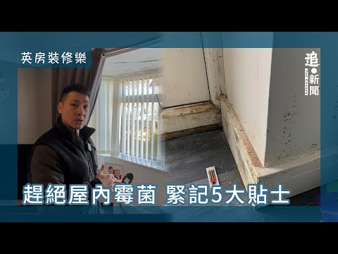 濕度 黴菌