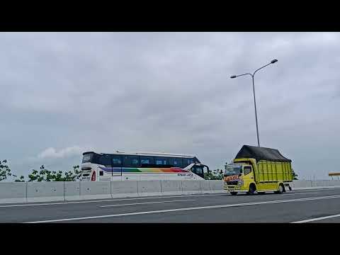 Spesial sodrek truck cabe di TOL banyak artis😲