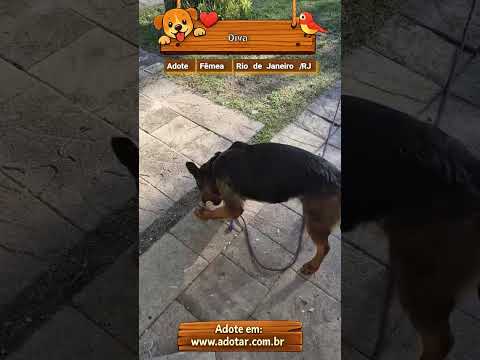 Vídeo de Diva