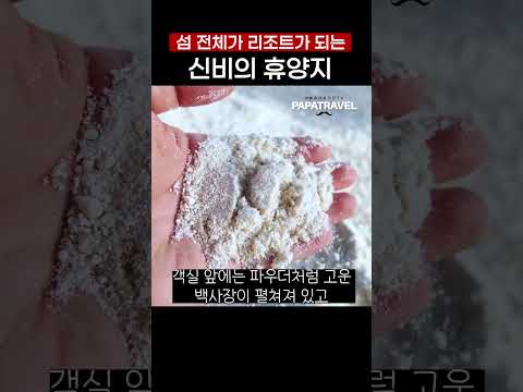 비치빌라: 꿈같은 열대 낙원에서의 완벽한 휴식