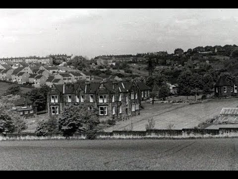 Mitchel Laithes Fever Hospital Remains