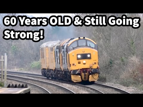 20 MINS of Class 37 WARRIORS Still Going STRONG 60+ Years later!
