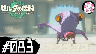 【ティアキン＃83】凡人が行く龍泪旅