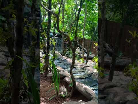 O Casarão Goiano, localizado na BR-060 em Cezarina-GO, aproximadamente 80 km de Goiânia. #foryou #fy