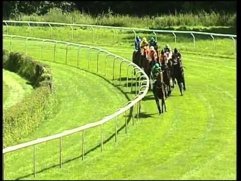 Hoppegarten, Preis der Mahlo-Bau-GmbH Waldesruh, 12.8.2012 - Sieger: Red Ghost