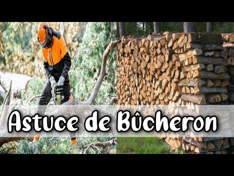 , title : 'AUTONOMIE CHAUFFAGE ASTUCE de BÛCHERON : Tronçonneuse & Empiler Nickel le bois de chauffage à ranger'