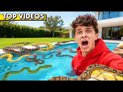 GIANT PYTHONS Took Over My Pool!! (BAD IDEA) | Brent Rivera