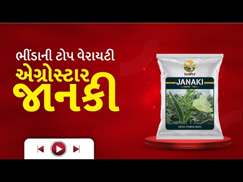 વધુ વીણી તો ફાયદો પણ મળશે અઢળક 