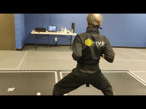 Hive Martial Arts - Virtual Karate Class