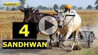 (1) Sandhwan (Nawanshahr) Ox Race 17 May 2015