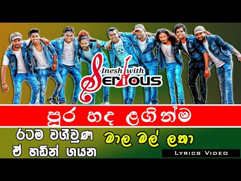 පුර හද ලගින්ම | සීරියස් අපුර්ව | Pura hada laginma | Serious | Lyrics Video