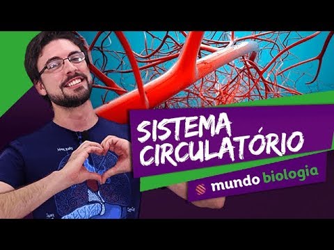 👩‍⚕️ Physiology (2/8): Circulatory System - Biology - ENEM