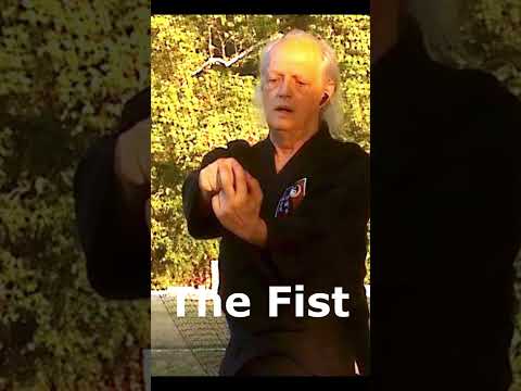 The Fist Short – Sensei Rod Lindgren