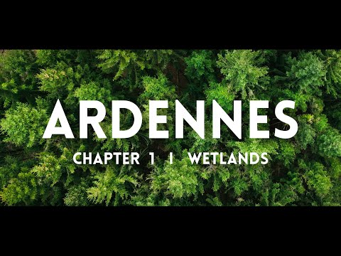 Ardennes Chapter 1, The Wetlands