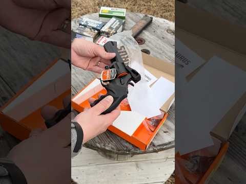 Taurus Raging Hunter 44 Magnum First Shots: The Budget Hand Cannon