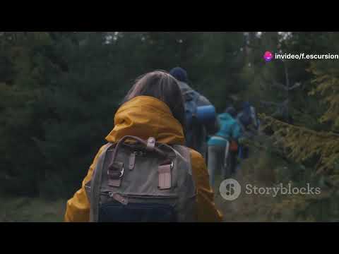 Alla Scoperta del Parco Adamello Brenta: Natura, Avventura e Conservazione