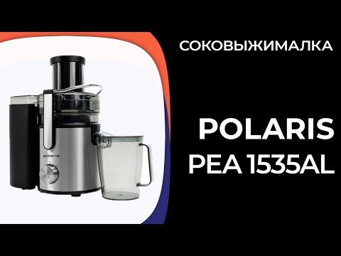 Polaris PEA 1536ADL Black/Silver