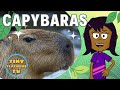Animal Alphabet Adventures Cheerful Capybaras Educational Videos For Kids
