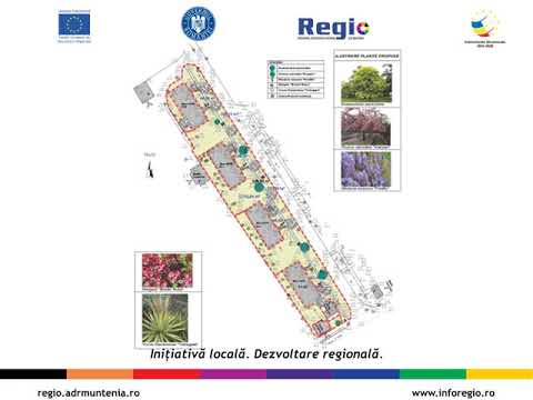 Verde prezent in cartierele din Rosiorii de Vede